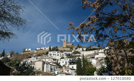 Allhambra palace, destination in Granada 127018080