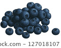 Lots of blueberries 127018107