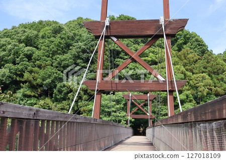 Green bridge 127018109