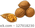 Walnut  127018230