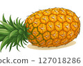 simple pineapple illustration 127018286