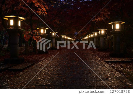 Autumn leaves of Takayama-ji 127018738