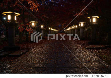 Autumn leaves of Takayama-ji Autumn leaves of Takayama-ji 127018739
