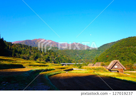 Ogimachi Gassho-style Village, World Heritage Site, Shirakawa-go, Thatched Roof 127019237