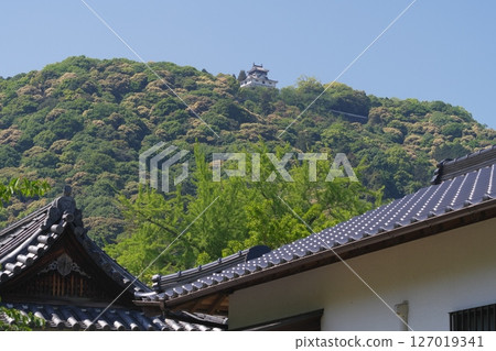 從吉光公園看到的岩國城 從吉光公園看到的岩國城 127019341