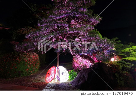 【愛媛郡】晴朗天氣下的南樂園夜景 【愛媛郡】晴朗天氣下的南樂園夜景 127019470