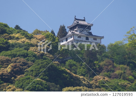 從吉光公園看到的岩國城 127019593