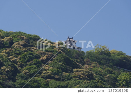 從吉光公園看到的岩國城 127019598