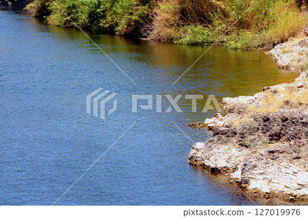 Early Summer Salt River Recreation Area Arizona Early Summer Salt River Recreation Area Arizona 127019976