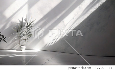 A quiet white room 127020045