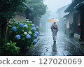 一位女士走在繡球花盛開的雨巷裡 127020069