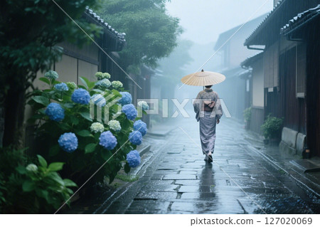 一位女士走在繡球花盛開的雨巷裡 127020069