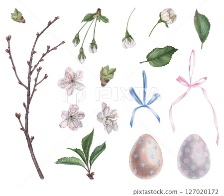 Branch, flowers, leaves and buds of cherry tree, bows and Easter eggs. Hand drawn watercolor illustration of spring holiday decor on isolated background. Suitable for invitations, posters, cards Branch, flowers, leaves and buds of cherry tree, bows and Easter eggs. Hand drawn watercolor illustration of spring holiday decor on isolated background. Suitable for invitations, posters, cards 127020172