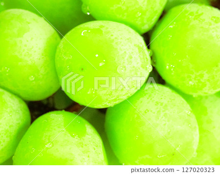 Fresh and delicious Shine Muscat grapes 127020323