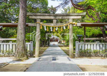 Karakuni Shrine Torii Gate Season of Fresh Green (Fujiidera City, Osaka Prefecture) 127020388