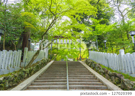 Nagaoka Tenmangu Shrine: The approach to the shrine surrounded by fresh greenery (Nagaokakyo City, Kyoto Prefecture) 127020399