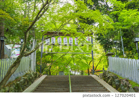 Nagaoka Tenmangu Shrine: The approach to the shrine surrounded by fresh greenery (Nagaokakyo City, Kyoto Prefecture) Nagaoka Tenmangu Shrine: The approach to the shrine surrounded by fresh greenery (Nagaokakyo City, Kyoto Prefecture) 127020401