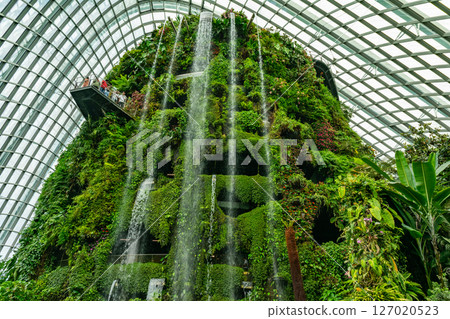 SINGAPORE - April 8 2025: View of Gardens by the Bay and Marina Bay Sands in Singapore 127020523