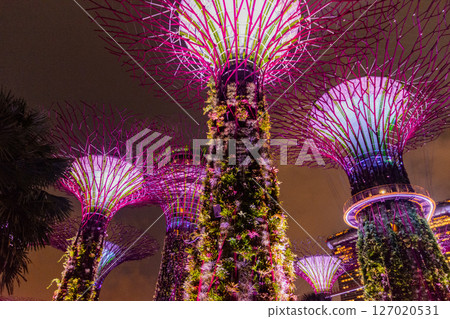 SINGAPORE - April 8 2025: View of Gardens by the Bay and Marina Bay Sands in Singapore SINGAPORE - April 8 2025: View of Gardens by the Bay and Marina Bay Sands in Singapore 127020531