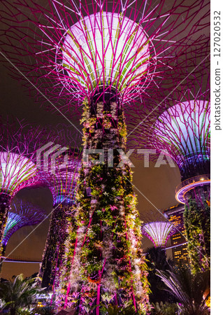 SINGAPORE - April 8 2025: View of Gardens by the Bay and Marina Bay Sands in Singapore SINGAPORE - April 8 2025: View of Gardens by the Bay and Marina Bay Sands in Singapore 127020532