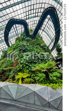 SINGAPORE - April 8 2025: View of Gardens by the Bay and Marina Bay Sands in Singapore 127020535