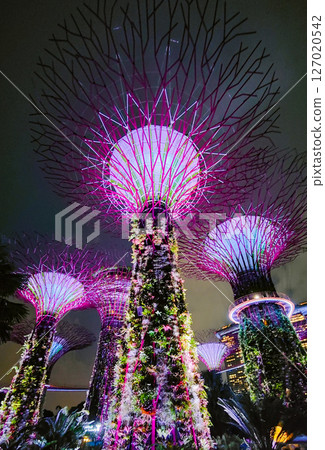 SINGAPORE - April 8 2025: View of Gardens by the Bay and Marina Bay Sands in Singapore SINGAPORE - April 8 2025: View of Gardens by the Bay and Marina Bay Sands in Singapore 127020542