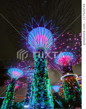 SINGAPORE - April 8 2025: View of Gardens by the Bay and Marina Bay Sands in Singapore 127020544