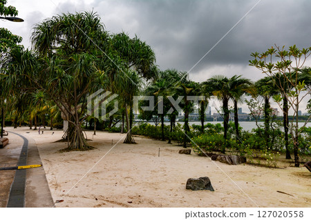 SINGAPORE - April 8 2025: View of Gardens by the Bay and Marina Bay Sands in Singapore 127020558