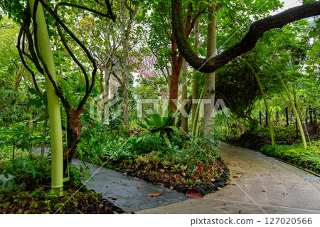 SINGAPORE - April 8 2025: View of Gardens by the Bay and Marina Bay Sands in Singapore SINGAPORE - April 8 2025: View of Gardens by the Bay and Marina Bay Sands in Singapore 127020566