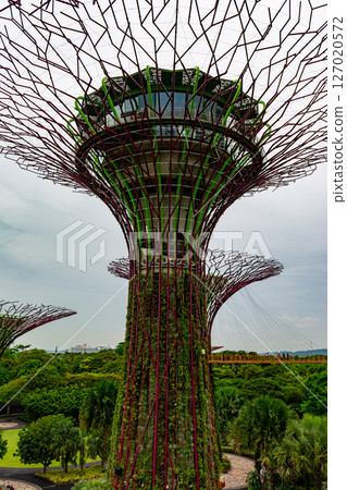 SINGAPORE - April 8 2025: View of Gardens by the Bay and Marina Bay Sands in Singapore SINGAPORE - April 8 2025: View of Gardens by the Bay and Marina Bay Sands in Singapore 127020572