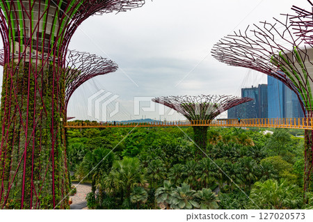 SINGAPORE - April 8 2025: View of Gardens by the Bay and Marina Bay Sands in Singapore SINGAPORE - April 8 2025: View of Gardens by the Bay and Marina Bay Sands in Singapore 127020573