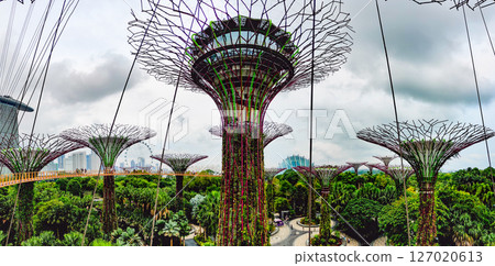 SINGAPORE - April 8 2025: View of Gardens by the Bay and Marina Bay Sands in Singapore SINGAPORE - April 8 2025: View of Gardens by the Bay and Marina Bay Sands in Singapore 127020613