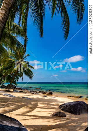 Pulau Tioman tropical island in Malaysia. South China sea. Southeast Asia Pulau Tioman tropical island in Malaysia. South China sea. Southeast Asia 127020895