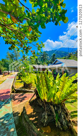 Pulau Tioman tropical island in Malaysia. South China sea. Southeast Asia 127020913