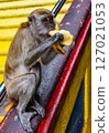 Gombak, Selangor Malaysia: April 18 2025: Batu Caves and the Murugan statue  (The Hindu god of war ) also known as Kartikeya , Skanda, Subrahmanya and Shanmukha. 127021053