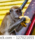 Gombak, Selangor Malaysia: April 18 2025: Batu Caves and the Murugan statue  (The Hindu god of war ) also known as Kartikeya , Skanda, Subrahmanya and Shanmukha. 127021055