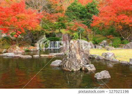秋天的慶石園（矢馬溪/中津市） 127021196