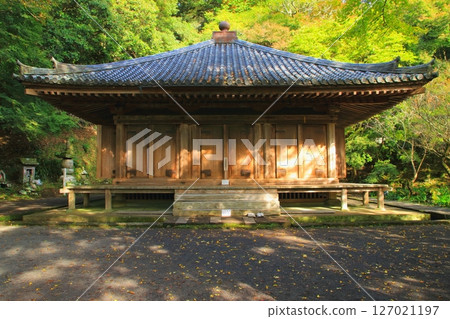 秋季的富貴寺(國寶,豐後大野市) 秋季的富貴寺(國寶,豐後大野市) 127021197