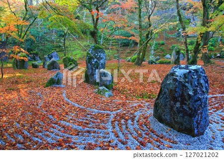 秋日庭園（太宰府市光明寺） 127021202