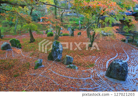 秋日庭園（太宰府市光明寺） 127021203