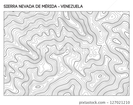 Topographic contour map of Sierra Nevada de Merida mountain range in Venezuela showing rugged elevation and ridgelines. Contour lines vector terrain background. 127021210