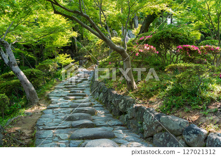 Wakayama Castle in summer and the lush Momijidani Garden (Nishinomaru Garden). Wakayama Castle in summer and the lush Momijidani Garden (Nishinomaru Garden). 127021312