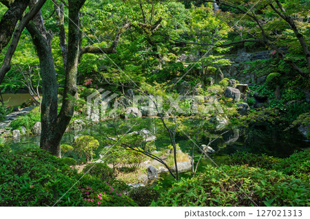 Wakayama Castle in summer and the lush Momijidani Garden (Nishinomaru Garden). Wakayama Castle in summer and the lush Momijidani Garden (Nishinomaru Garden). 127021313
