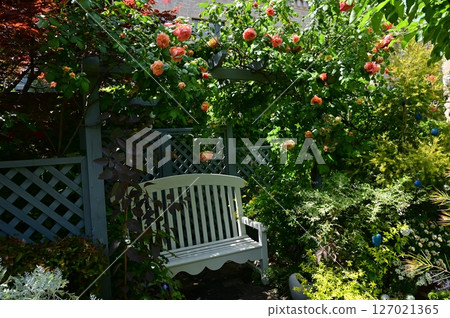 Rose garden and relaxation space 127021365
