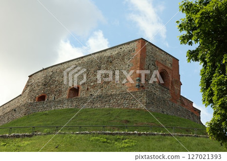 Gediminas Castle Tower 127021393
