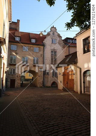 Swedish gate Swedish gate 127021404