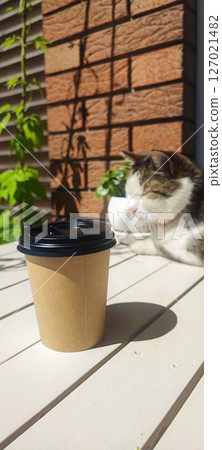 Disposable paper cup with coffee on a table in a cafe against the background of a sitting cat. Concept of a cat cafe, pet friendly cafe Disposable paper cup with coffee on a table in a cafe against the background of a sitting cat. Concept of a cat cafe, pet friendly cafe 127021482