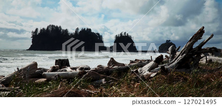 Driftwood covering First Beach with dramatic sky and cliffs in Forks, Washington 127021495