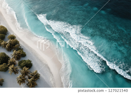 Tropical island beach adventure crystal clear waters scenic serenity aerial view nature's beauty 127021540