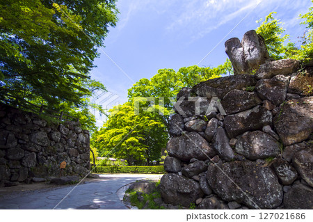Komoro Castle Ruins, a nostalgic garden surrounded by fresh greenery 127021686